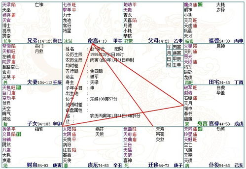 紫微斗数免费自助解盘