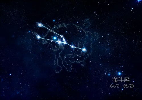 12月是什么星座男生